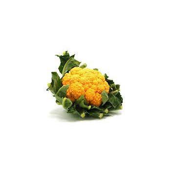 Choux Fleur orange