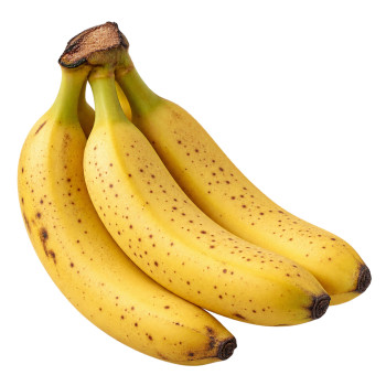 BANANE - FRECINETTE