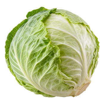 CHOU - BLANC