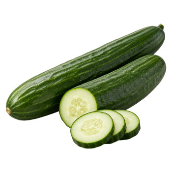 CONCOMBRE - LONG