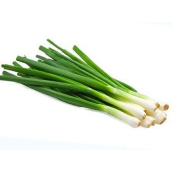 BULBE TIGE - OIGNON BLANC FANE