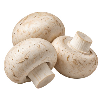 CHAMPIGNON - PARIS PIED...
