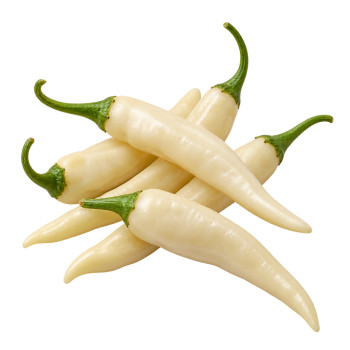 PIMENT - BLANC