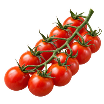 TOMATE - CERISE GRAPPE