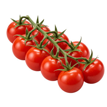 TOMATE RABELAIS - CERISE...