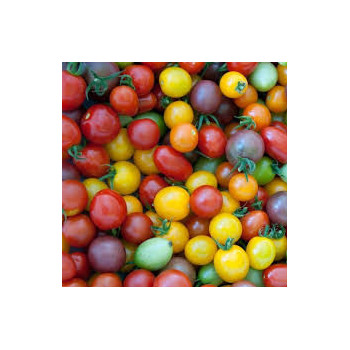 TOMATE RABELAIS - COCKTAIL