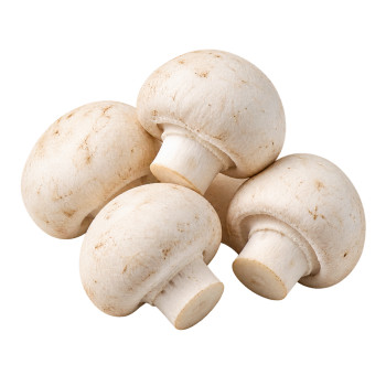 CHAMPIGNON - PARIS PIED...