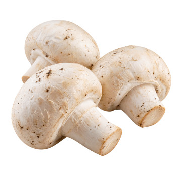 CHAMPIGNON - PARIS PIED...