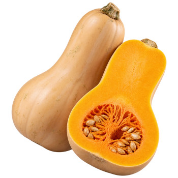 COURGE - BUTTERNUT