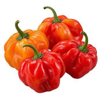 PIMENT - ANTILLAIS