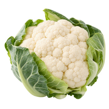 CHOU - FLEUR