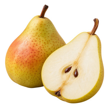 POIRE - CELINA QTEE