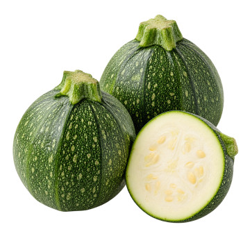 COURGETTE - RONDE VERTE