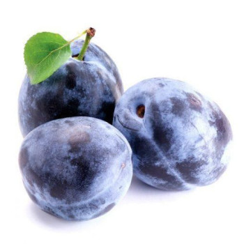 PRUNE - ROUGE IMPORT