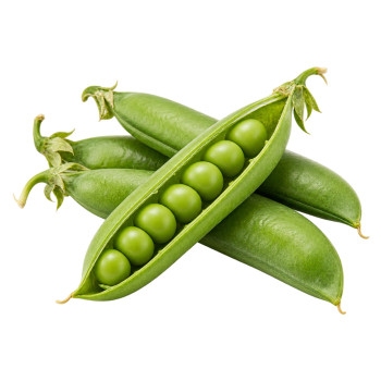 HARICOT - PETIT POIS