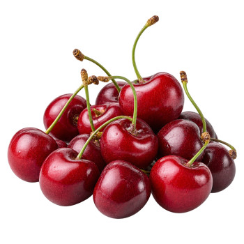 ROUGE - CERISE IMPORT