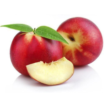 NECTARINE - VIGNE