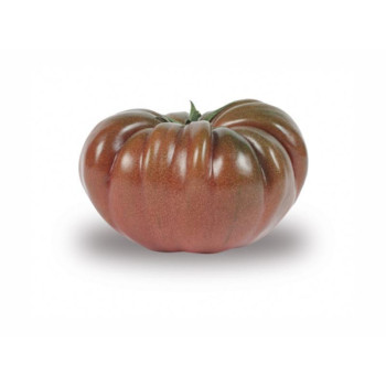 TOMATE - NOIRE DE CRIMEE
