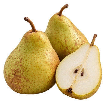 POIRE - ROCHA