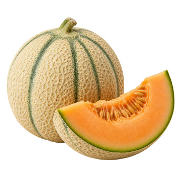 MELON - CHARENTAIS C09 ESP/MAR