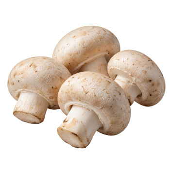 CHAMPIGNON - PARIS PIED...