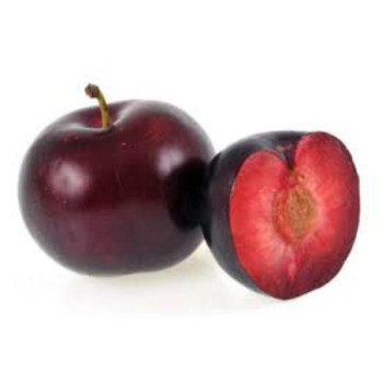 PRUNE BIO - ROUGE