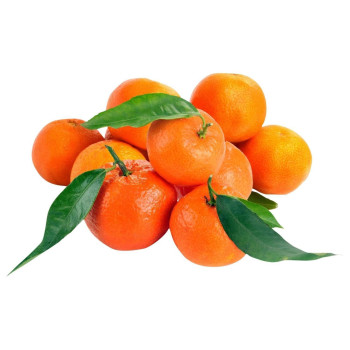 CLEMENTINE - ORRI