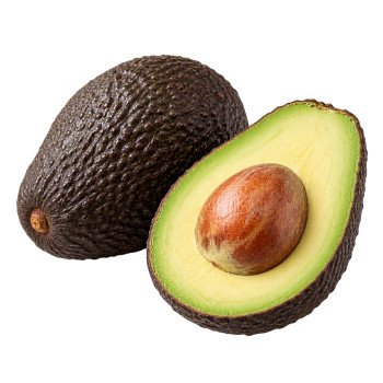 AVOCAT - CALIBRE 18