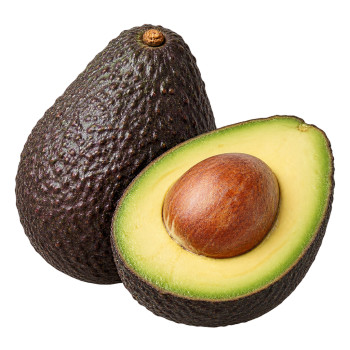AVOCAT - CALIBRE 20