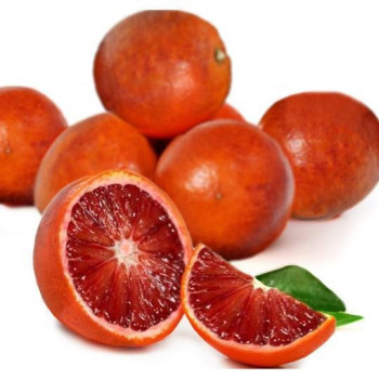 ORANGE BIO - SANGUINE