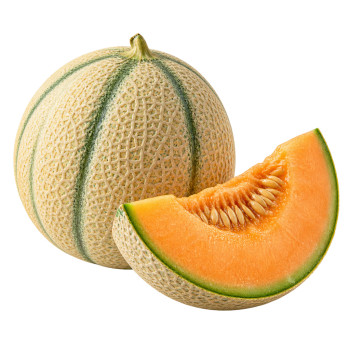 MELON - CHARENTAIS C09 FRANCE