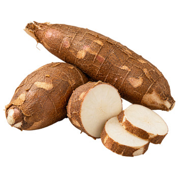 EXO - MANIOC