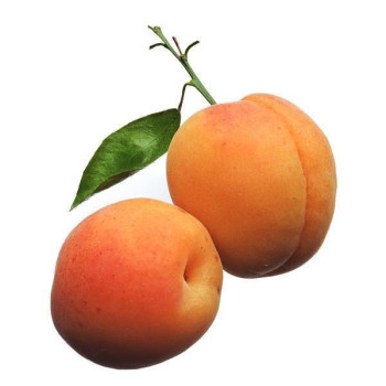 PECHE - PECHE ABRICOT
