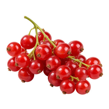 ROUGE 125 GR - GROSEILLE