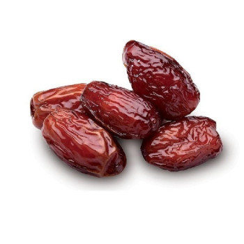 SEC BIO - DATTE MEDJOUL