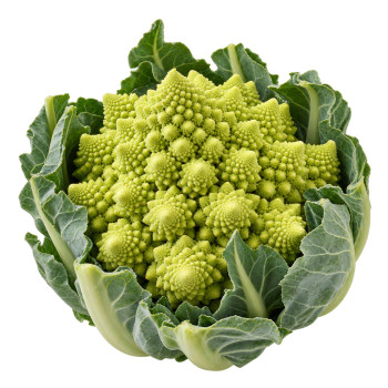 CHOU - ROMANESCO