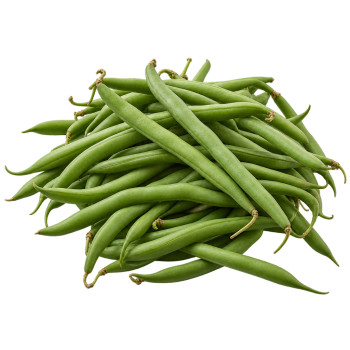 HARICOT - VERT FRANCE