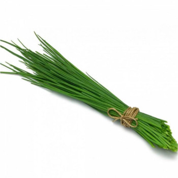 HERBE - ANETH