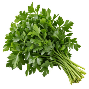 HERBE VRAC - PERSIL PLAT