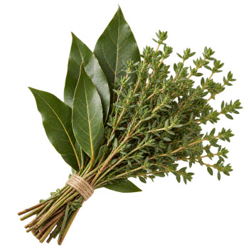 HERBE - THYM/LAURIER