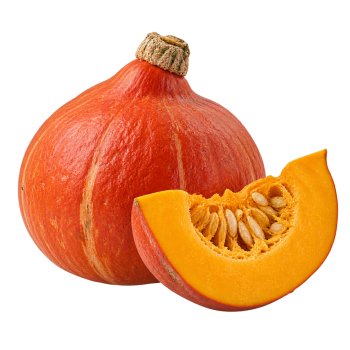 COURGE - POTIMARRON