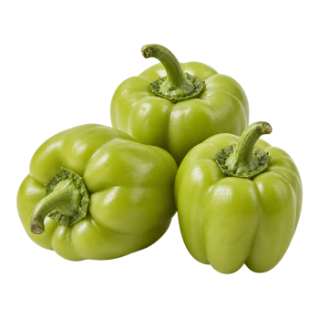 POIVRON - DOLMA