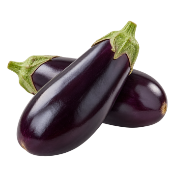 AUBERGINE - FRANCE