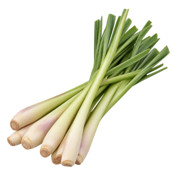 HERBE - CITRONNELLE