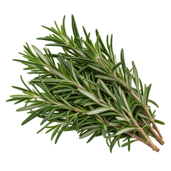 HERBE - ROMARIN