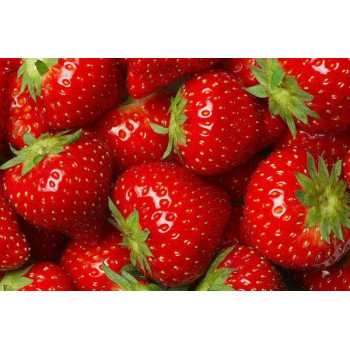 ART-FRA-002-fraise-gariguette-1kilo