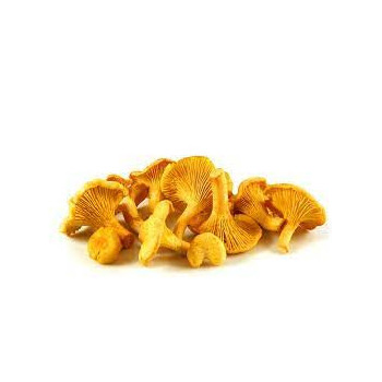 Champignon Girolles